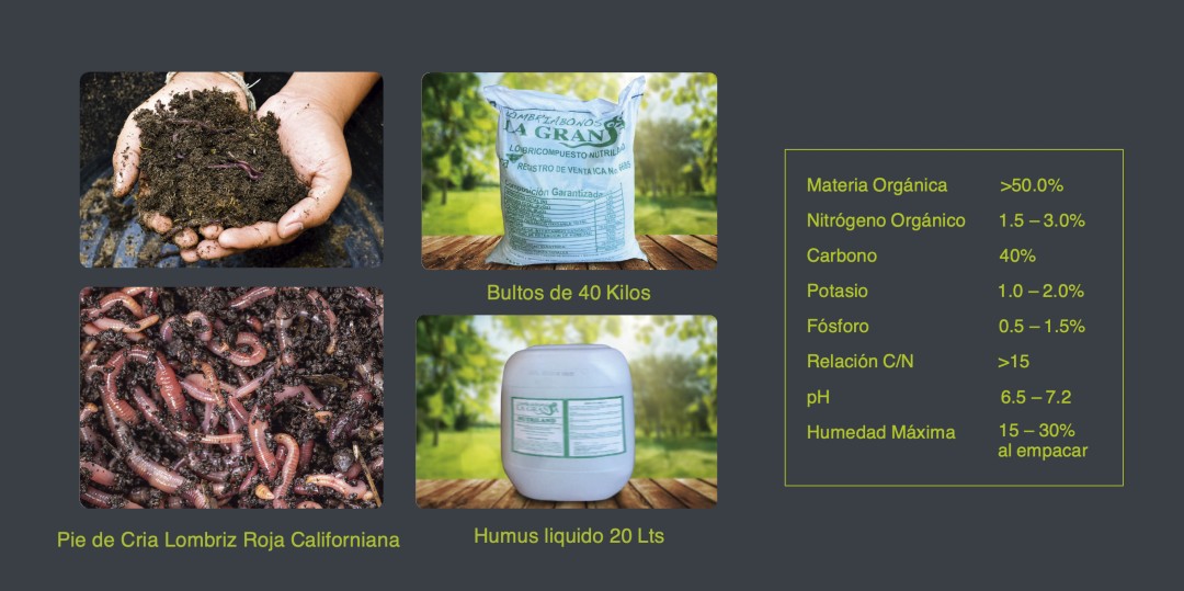Humus Fertilisant 100 % Lombri-Compost 3L Masso utilisable en Agriculture  Biologique